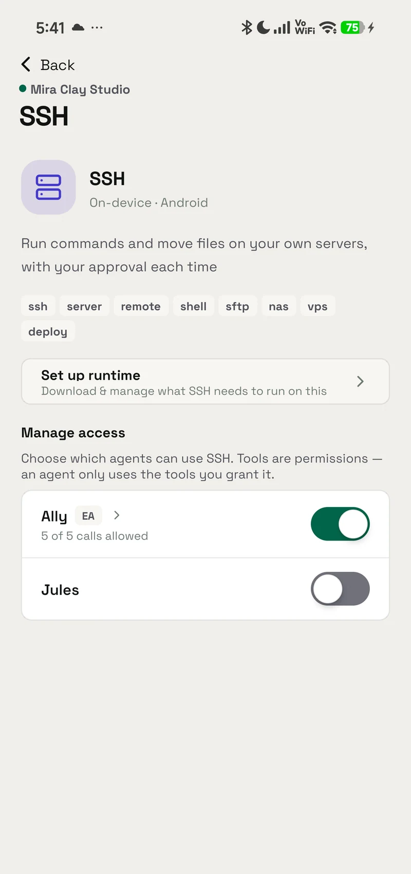 The SSH tool in OpenAlly: description, tags, Set up runtime and the per-agent Manage access switches.