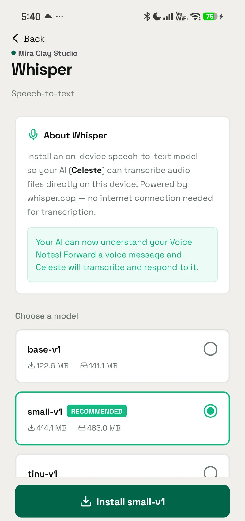 The Whisper setup screen in OpenAlly, with the About panel and the model choice before installation.